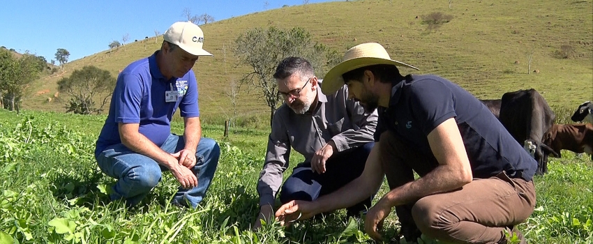 Dia do Servidor Público: Saiba como o trabalho dos servidores da Agricultura paulista chegam até você 