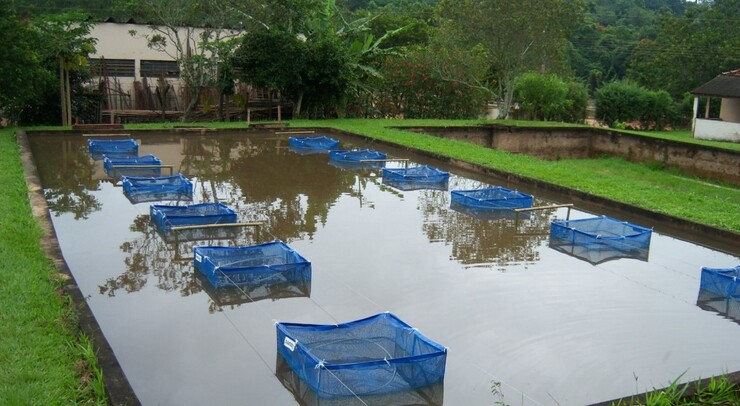 NP Tanques rede unidade Pirassununga IP 1 1