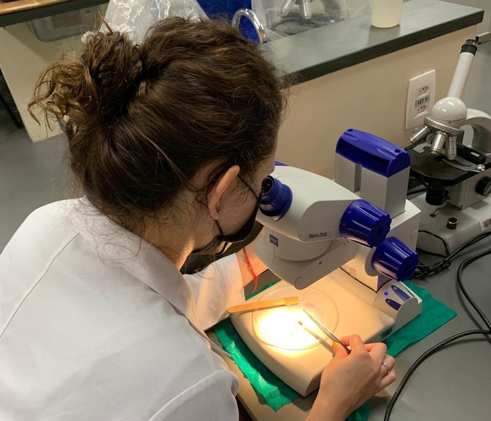 WhatsApp Image 2025 02 11 at 15.18.28