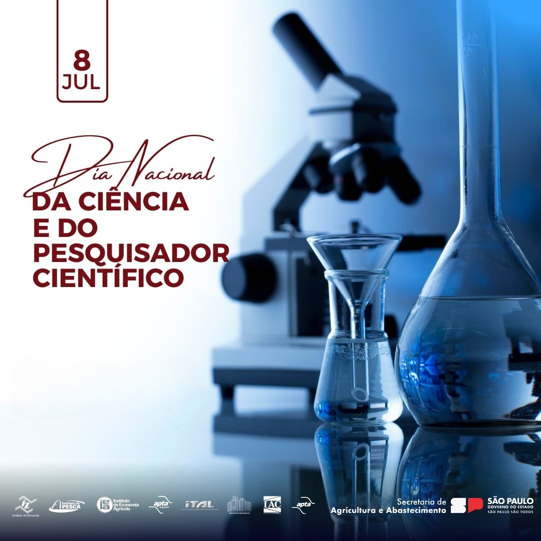 folder dia ciencia24